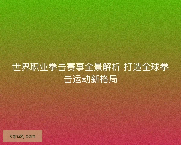 世界职业拳击赛事全景解析 打造全球拳击运动新格局