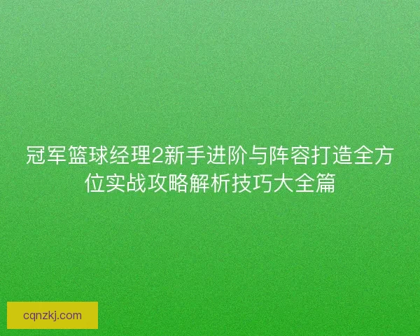 冠军篮球经理2新手进阶与阵容打造全方位实战攻略解析技巧大全篇