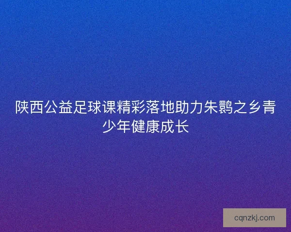 陕西公益足球课精彩落地助力朱鹮之乡青少年健康成长